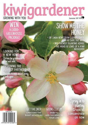 Kiwi Gardener 12 issues