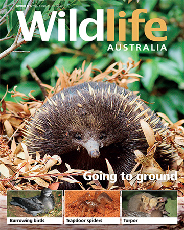 WildLife Australia Magazine Subscription